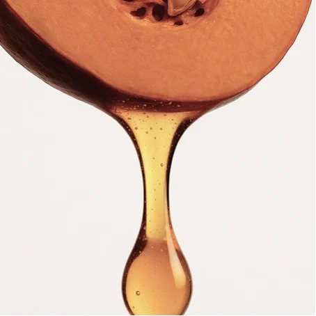 capa_mascara_sappajjos